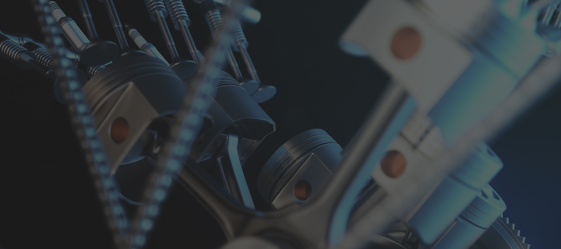 banner2